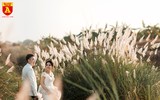 Hà Nội mùa hoa cỏ lau